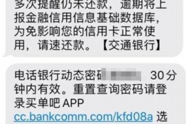 陕西陕西的要账公司在催收过程中的策略和技巧有哪些？